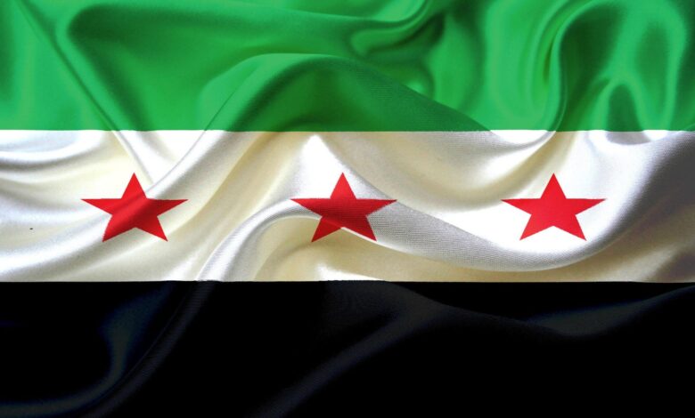 وزراء خارجية 11 دولة عربية وإقليمية يؤكدون دعمهم لسوريا ووحدتها